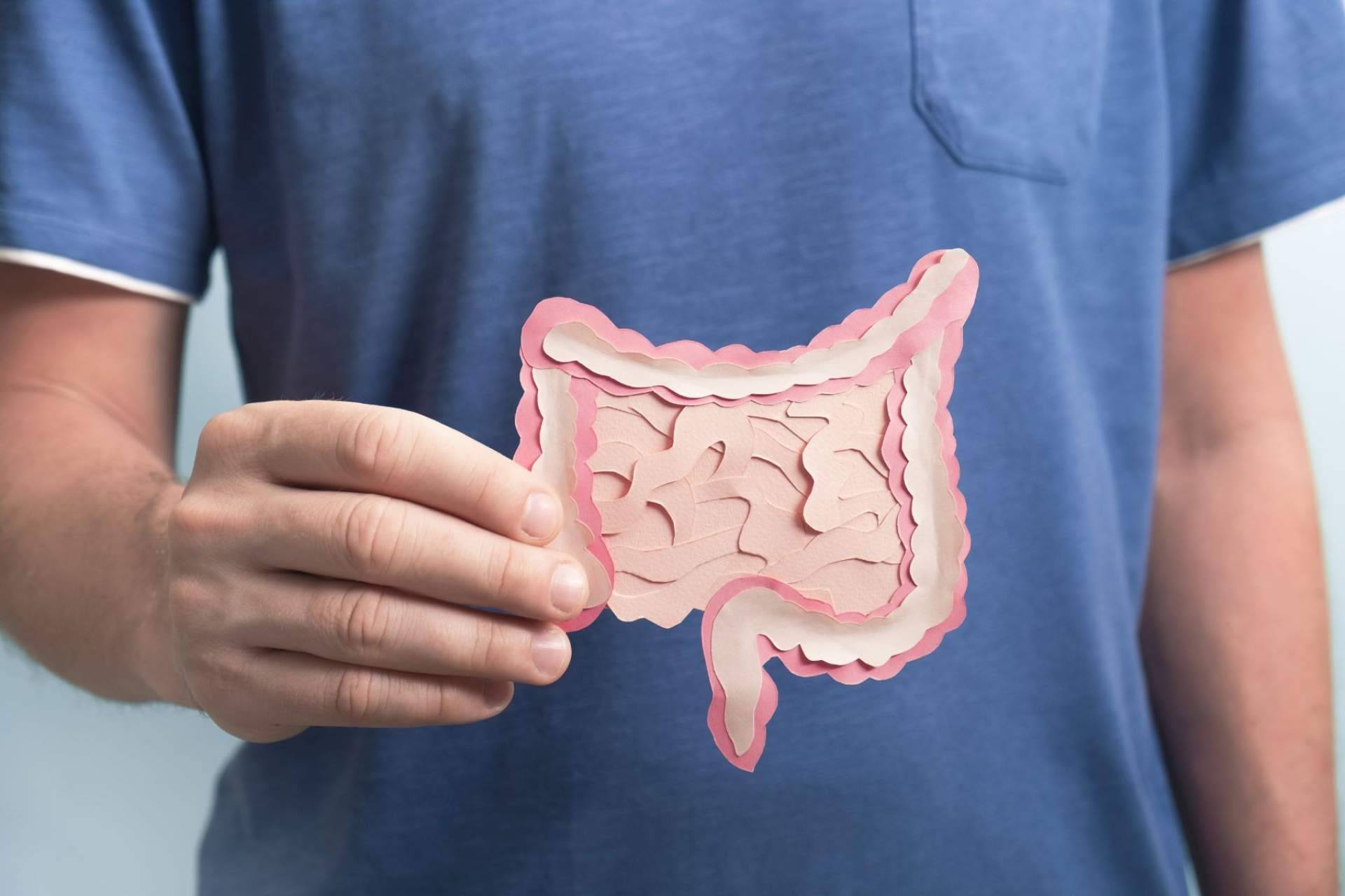 Con los probióticos de Bibefy es posible cuidar la flora intestinal