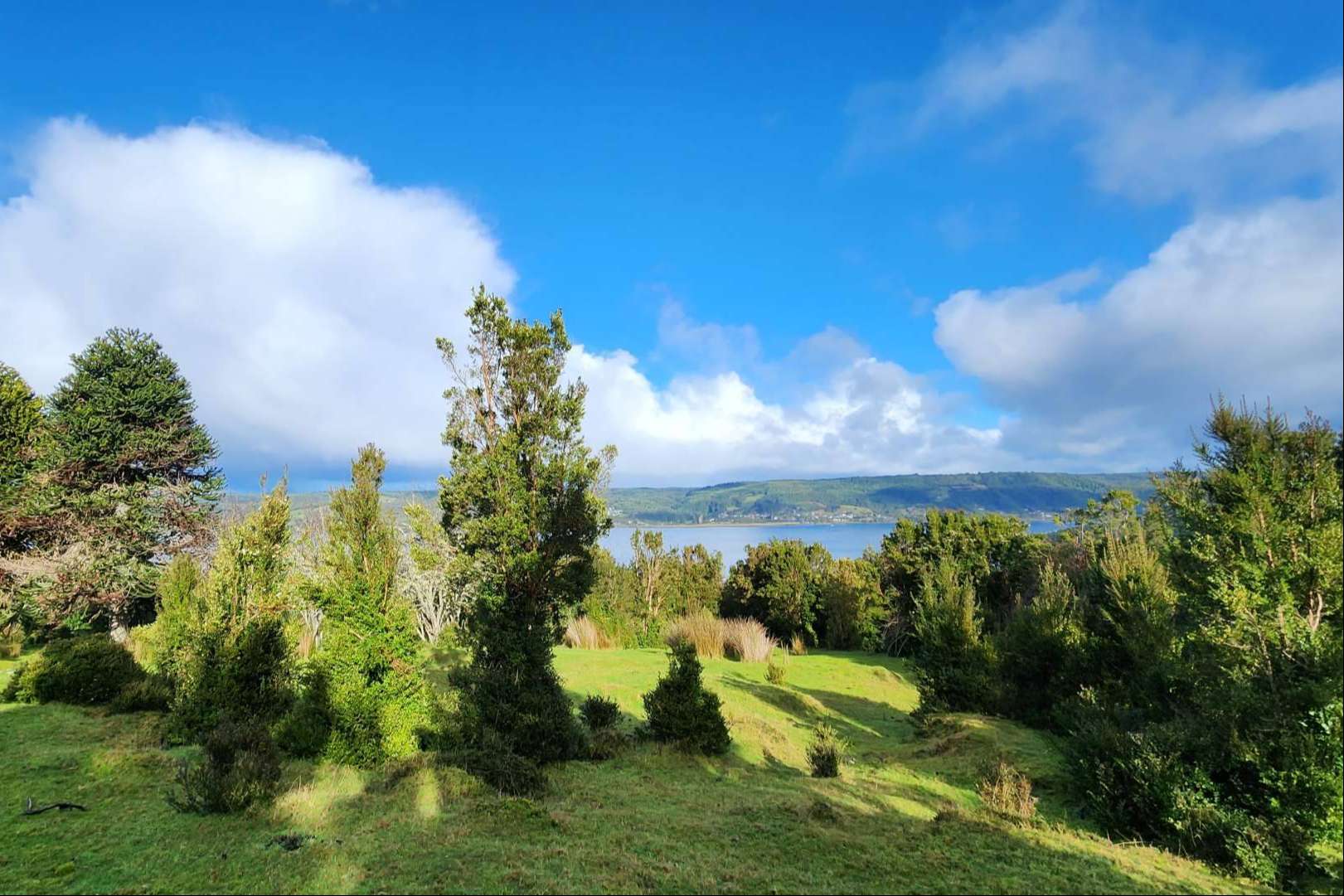 Chiloé es un destino emergente que brinda oportunidades únicas de inversión, de la mano de Latitudes Australes