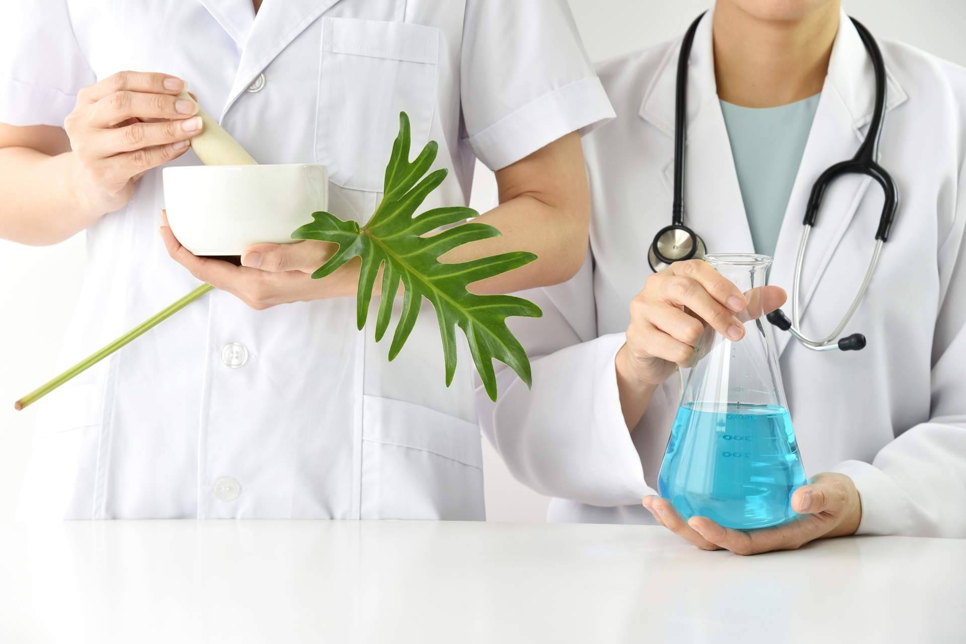 Medicina de la Integridad, un análisis profundo