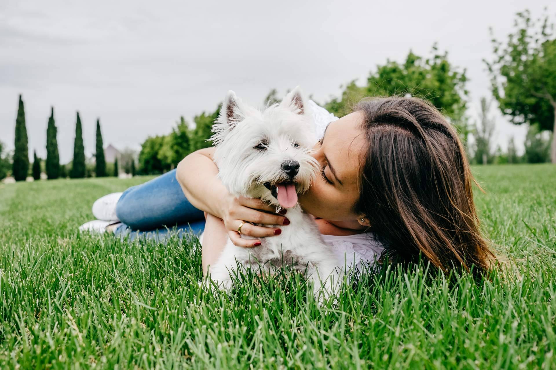 Emprender el camino a la felicidad con las increíbles becas de El Perro Feliz
