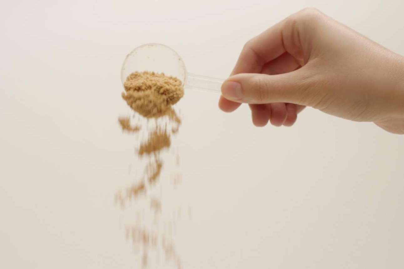 Las mezclas de superalimentos en polvo del catálogo de YourGut