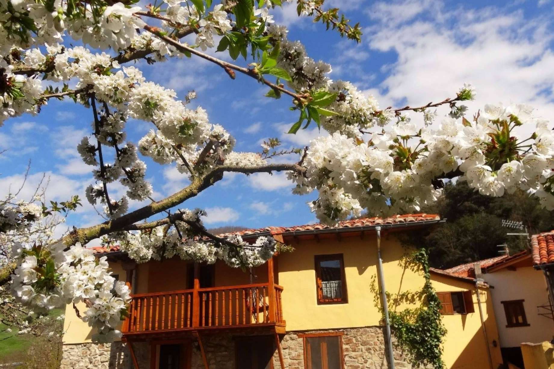 Vacaciones alternativas con Yoga en La Perezosa, en Cantabria