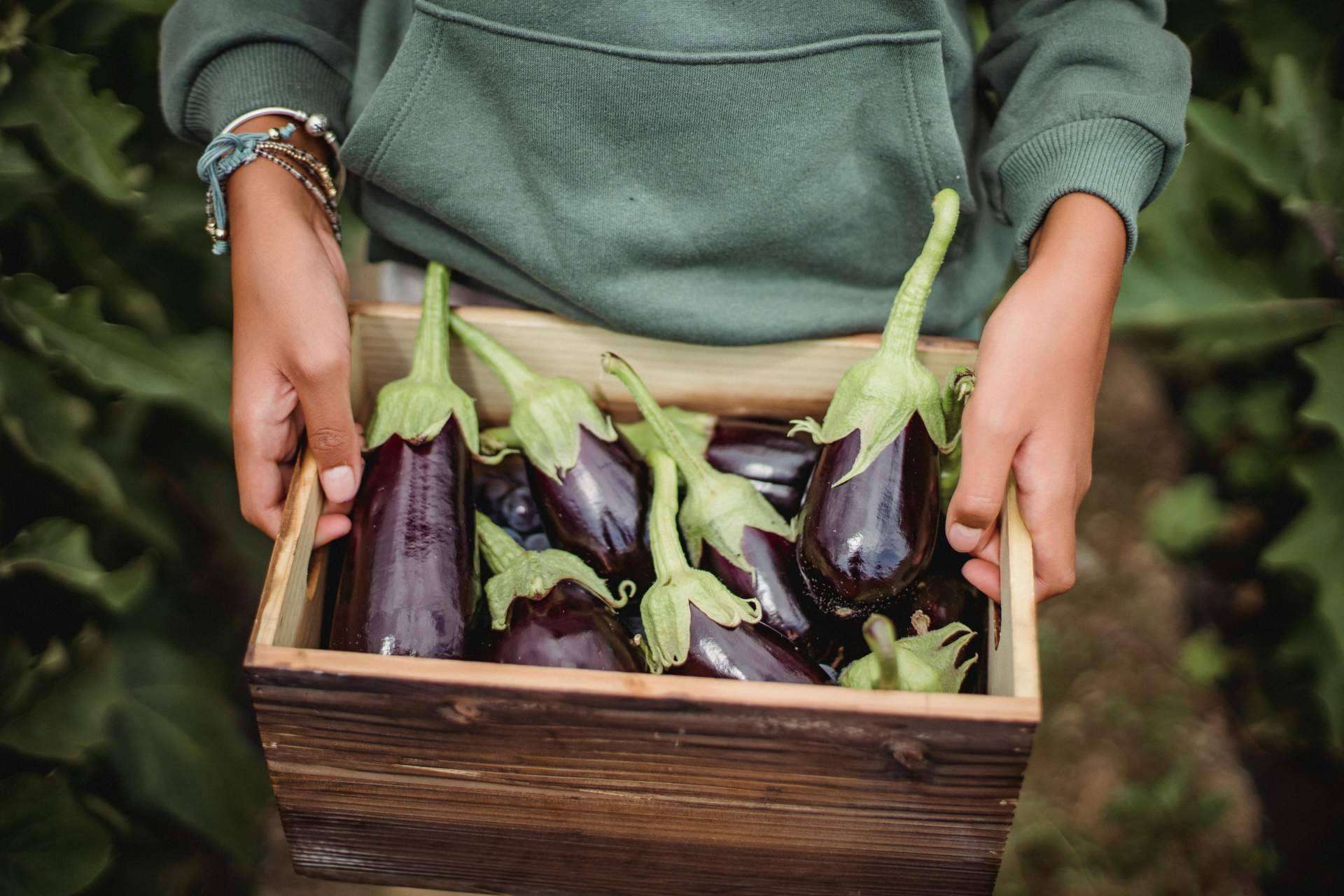 Horta de l'Eixample y sus productos ecológicos a domicilio que promueven una dieta saludable