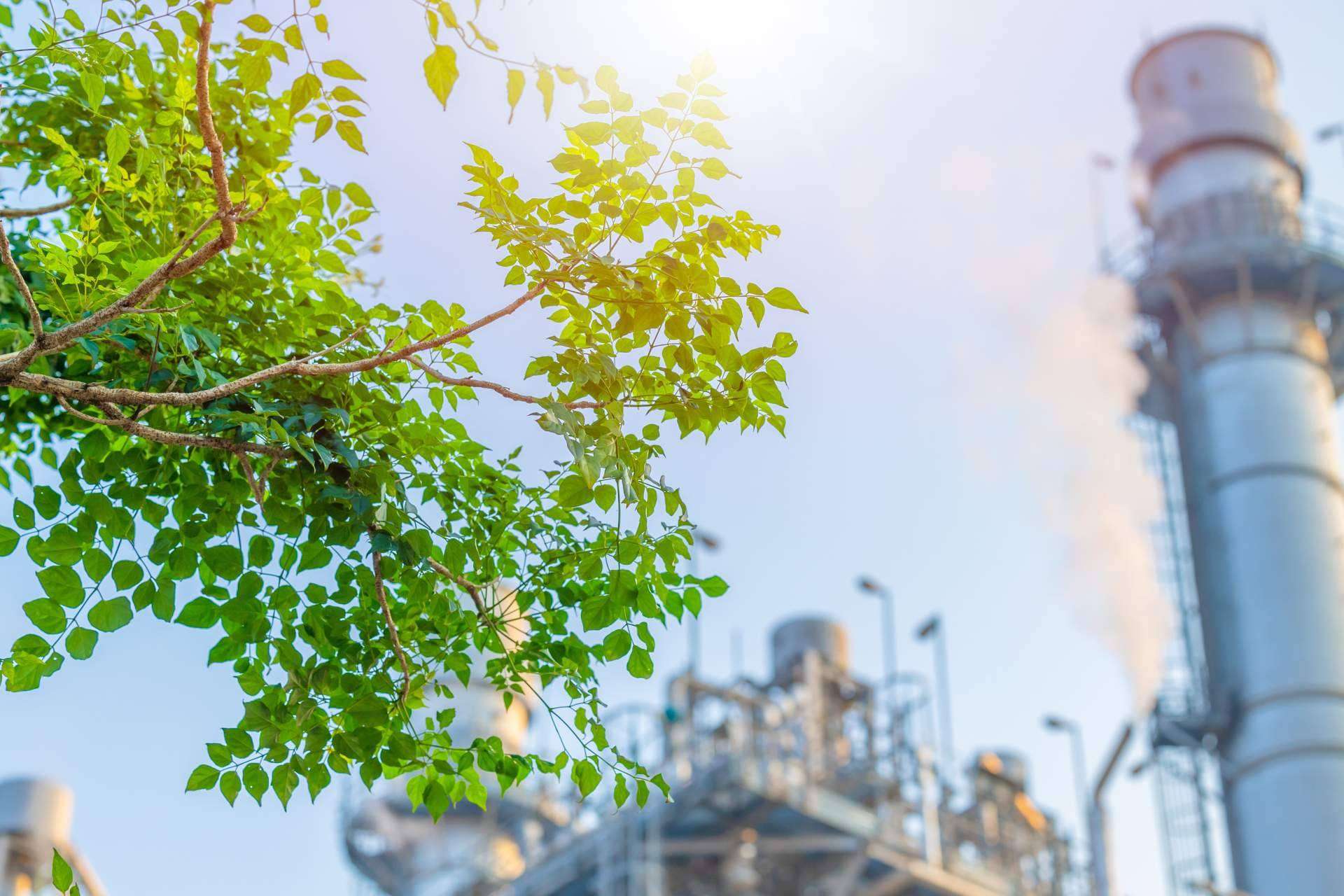 ¿Empresa comprometida con el medioambiente? consigue el triple sello del MITECO con CO2 GESTIÓN