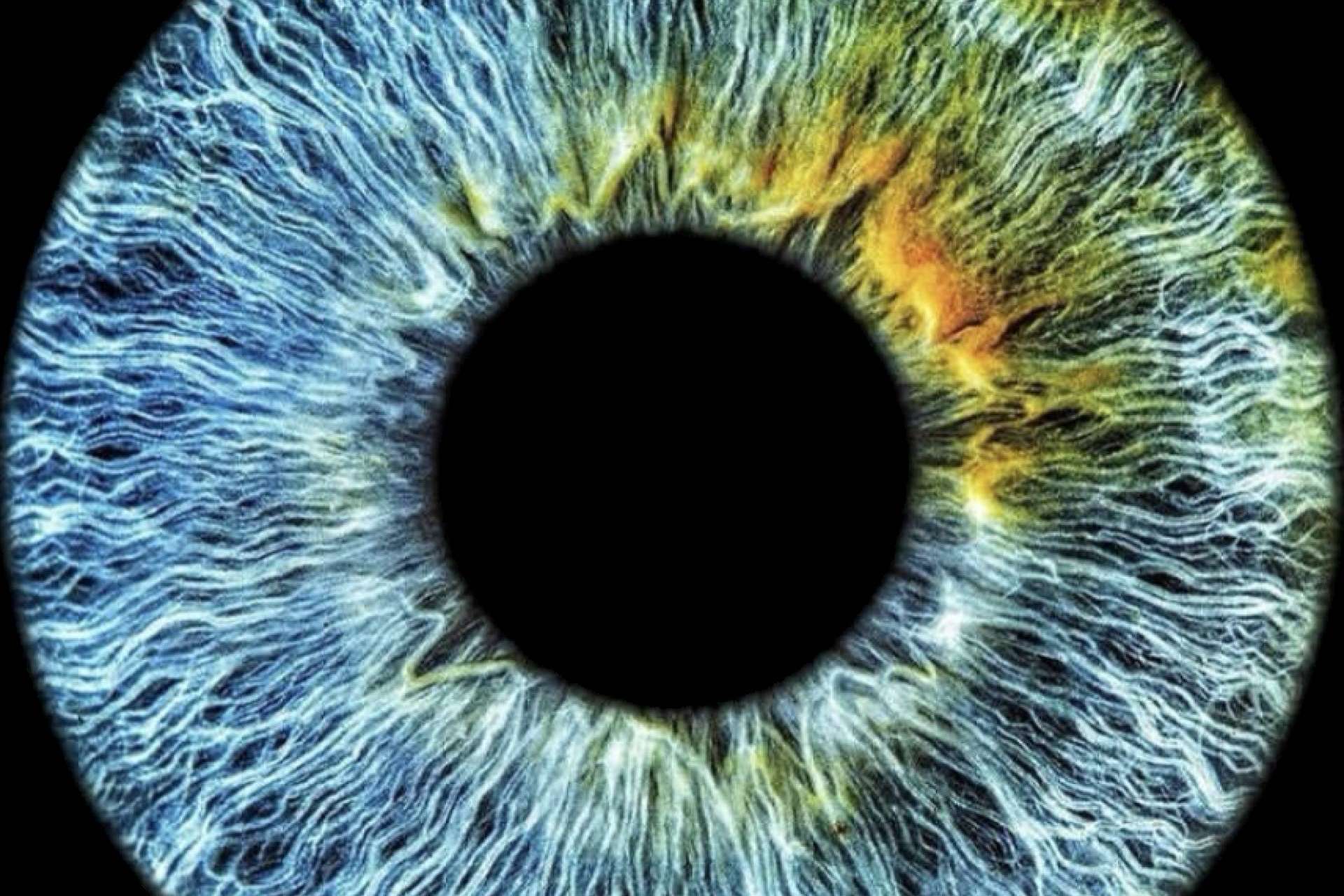 ¿Cómo influye la genética en el color de los ojos? Por EyeCos
