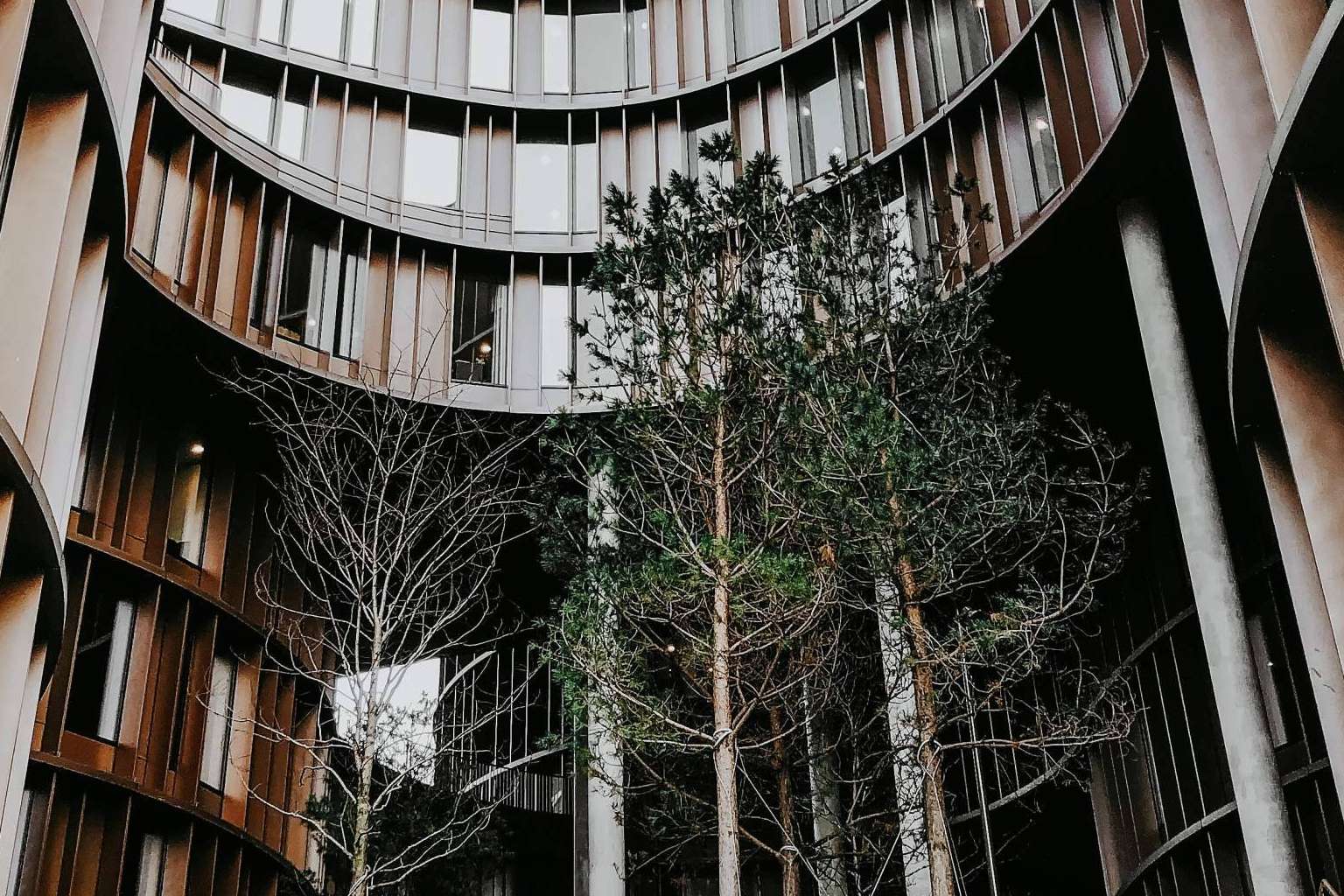Estrategias ESG para la empresa