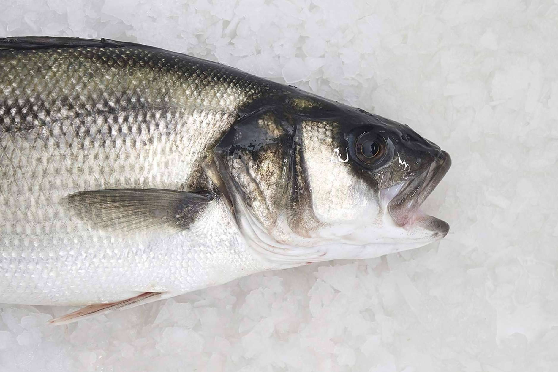 Pescado blanco, la clave para volver a los hábitos saludables después del verano