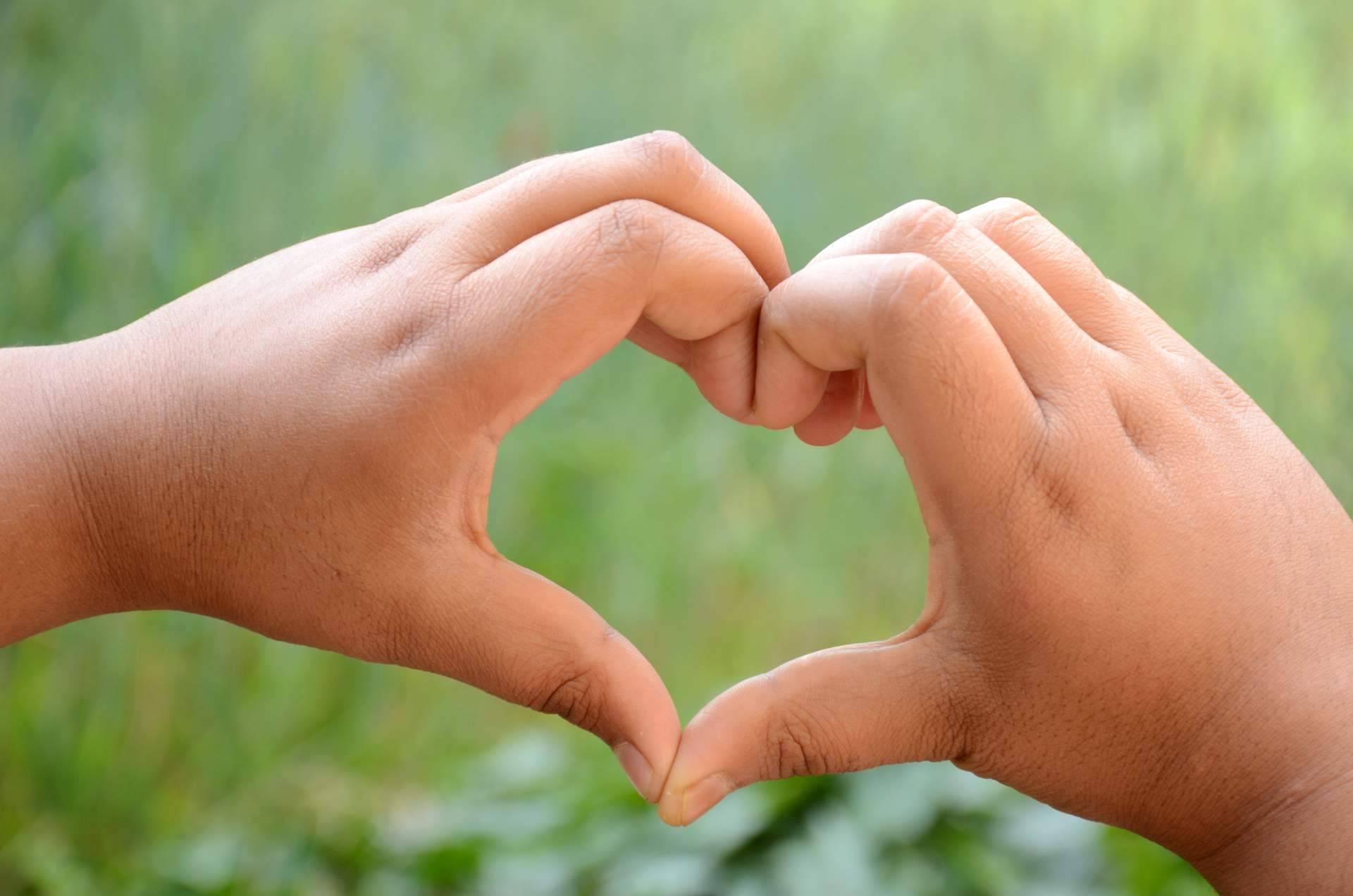 Cuidando la mente y el corazón