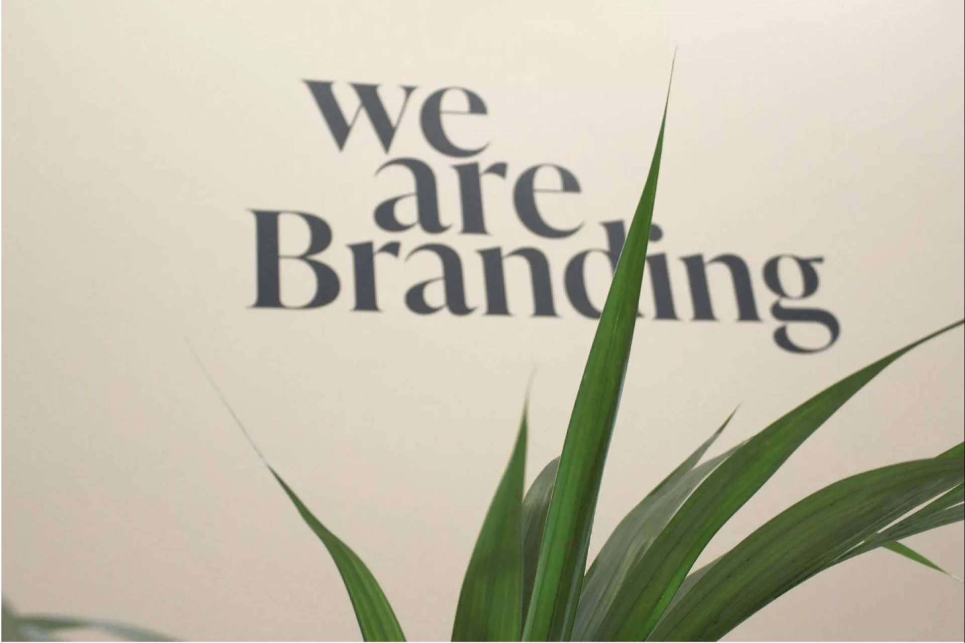 El poder del branding en el desarrollo de marcas exitosas