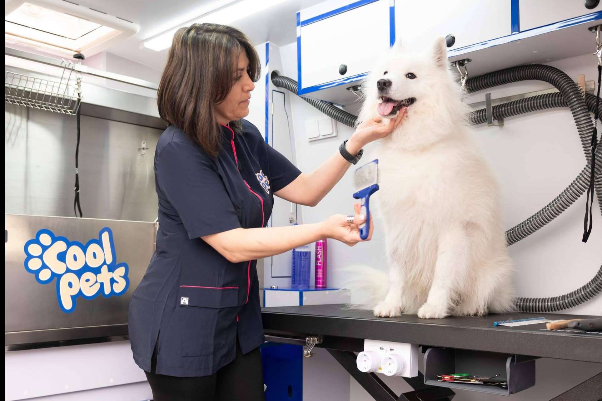Cool Pets, una nueva dimensión en el cuidado e higiene de las mascotas