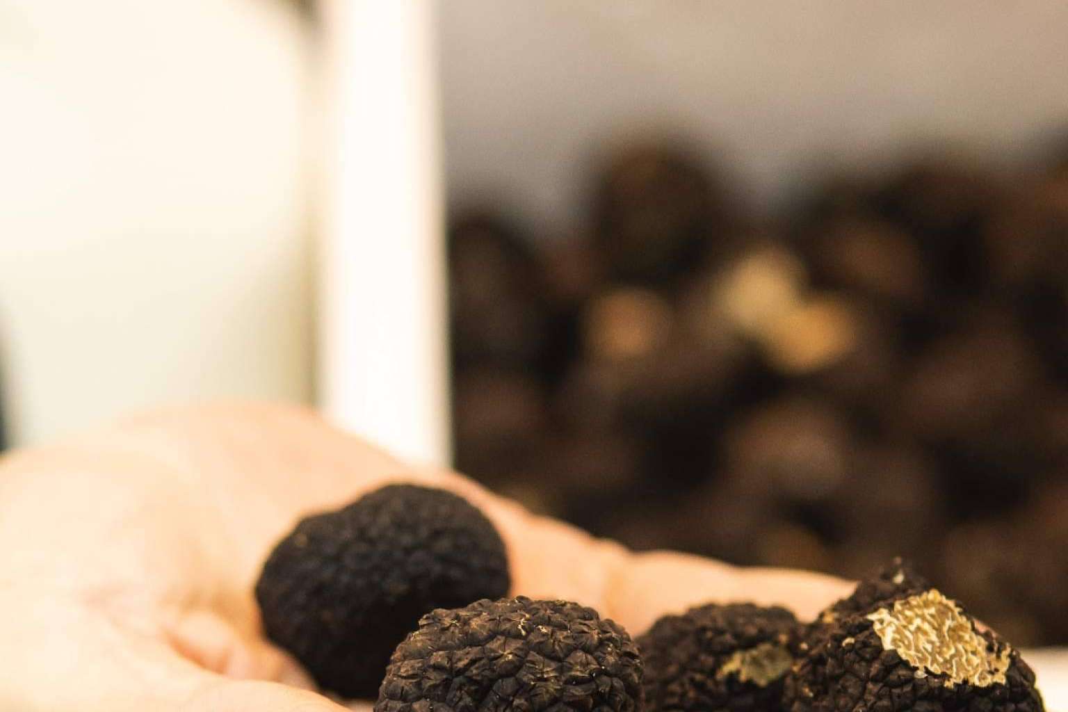 Navidades gourmet con Valle Trufa en los Christmas Market de Mallorca