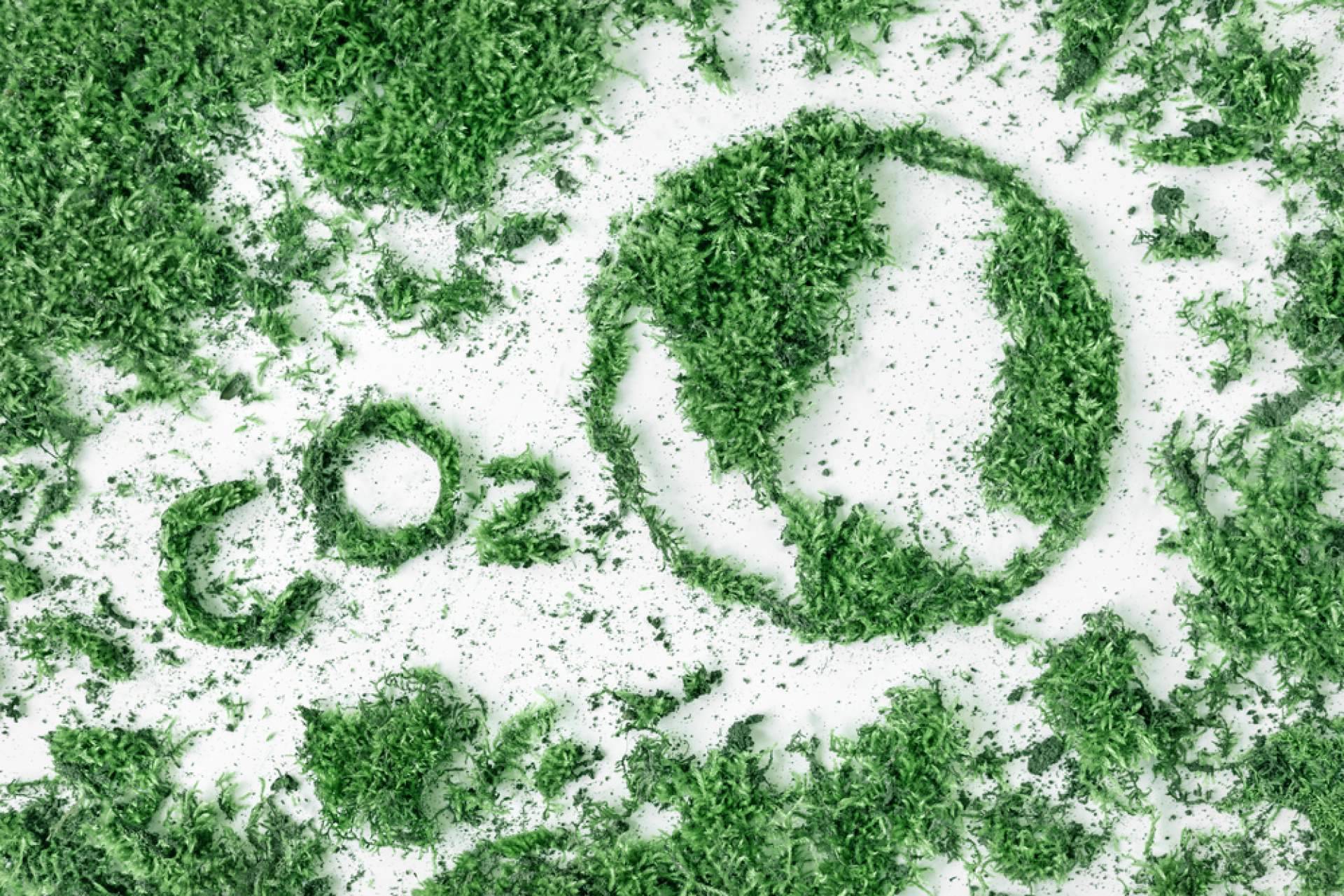 Huella de carbono y turismo, cómo viajar con responsabilidad ambiental