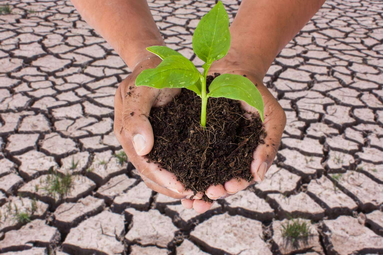 La producción de plásticos es un proceso que consume mucha energía y muchos recursos