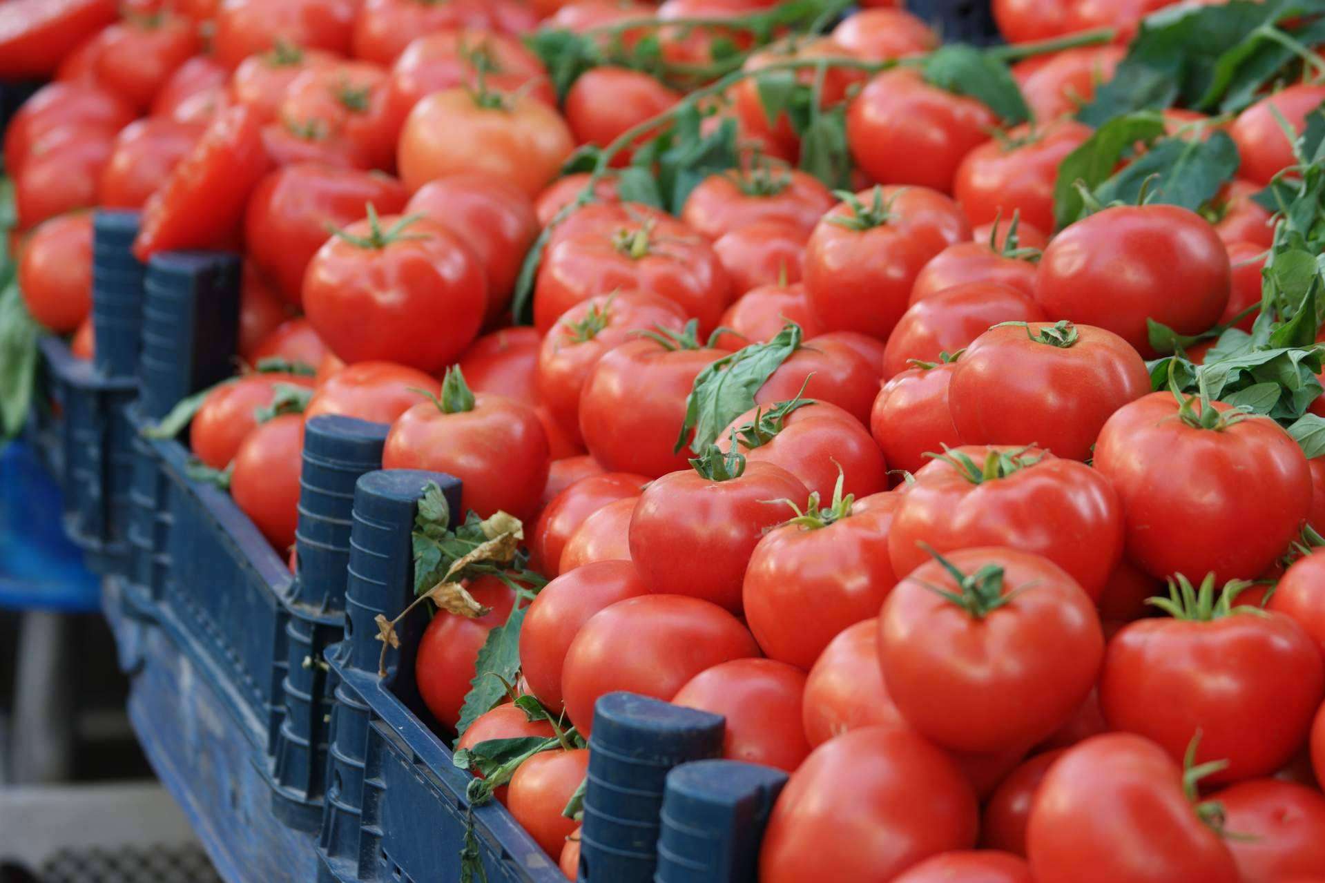 Agricultura ecológica; más rendimiento y resiliencia