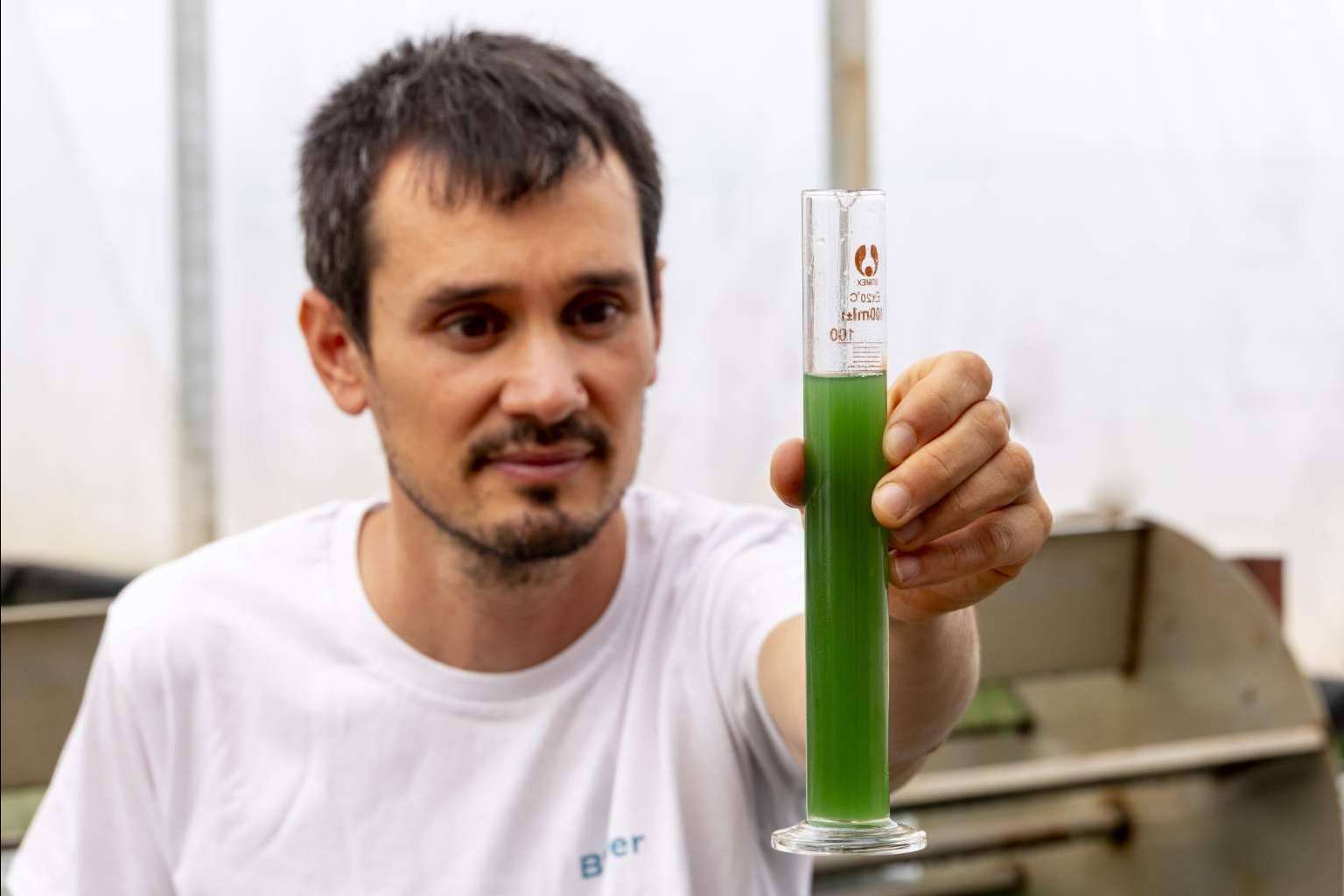 Blauver, la revolución de la espirulina fresca en el sector de la nutrición