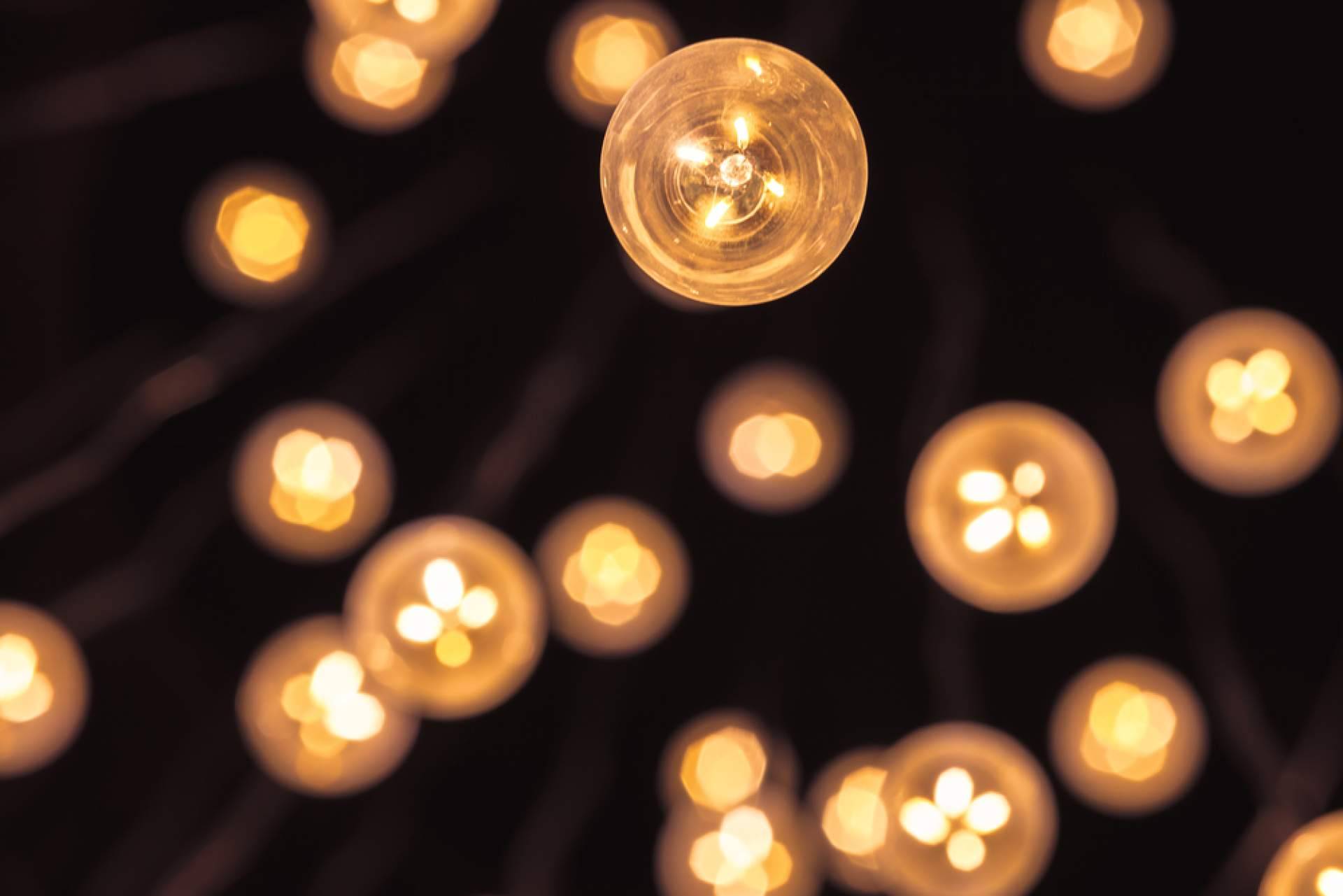 La luz que transforma espacios; diseño y emoción en Pilight Shop