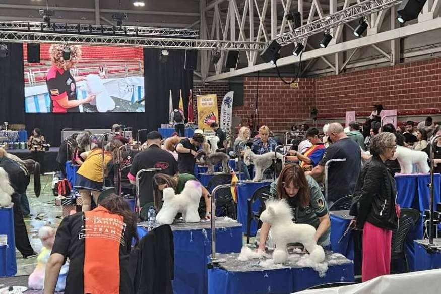 Murcia será sede del estilismo canino más top del mundo este octubre