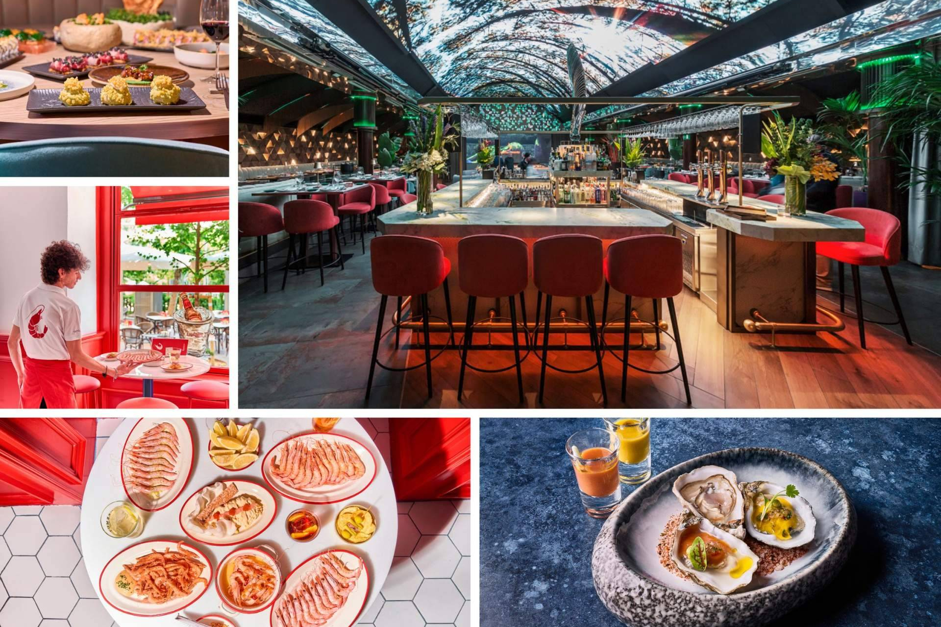 Cenas bajo las estrellas, ceviches refrescantes y tapeo canalla para saborear Madrid en verano