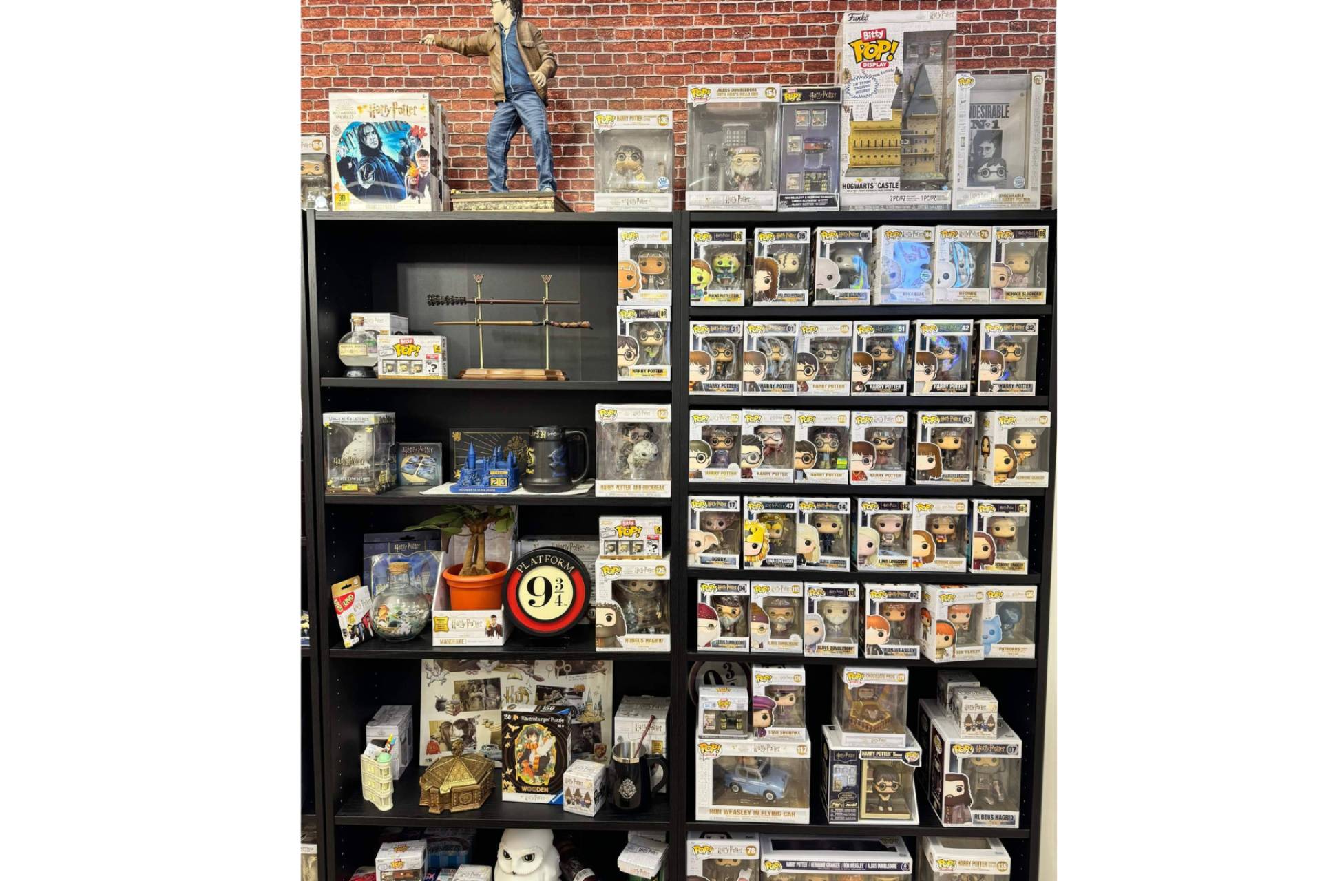 Passarella Store, el punto de encuentro para fans de Harry Potter a minutos de Valencia