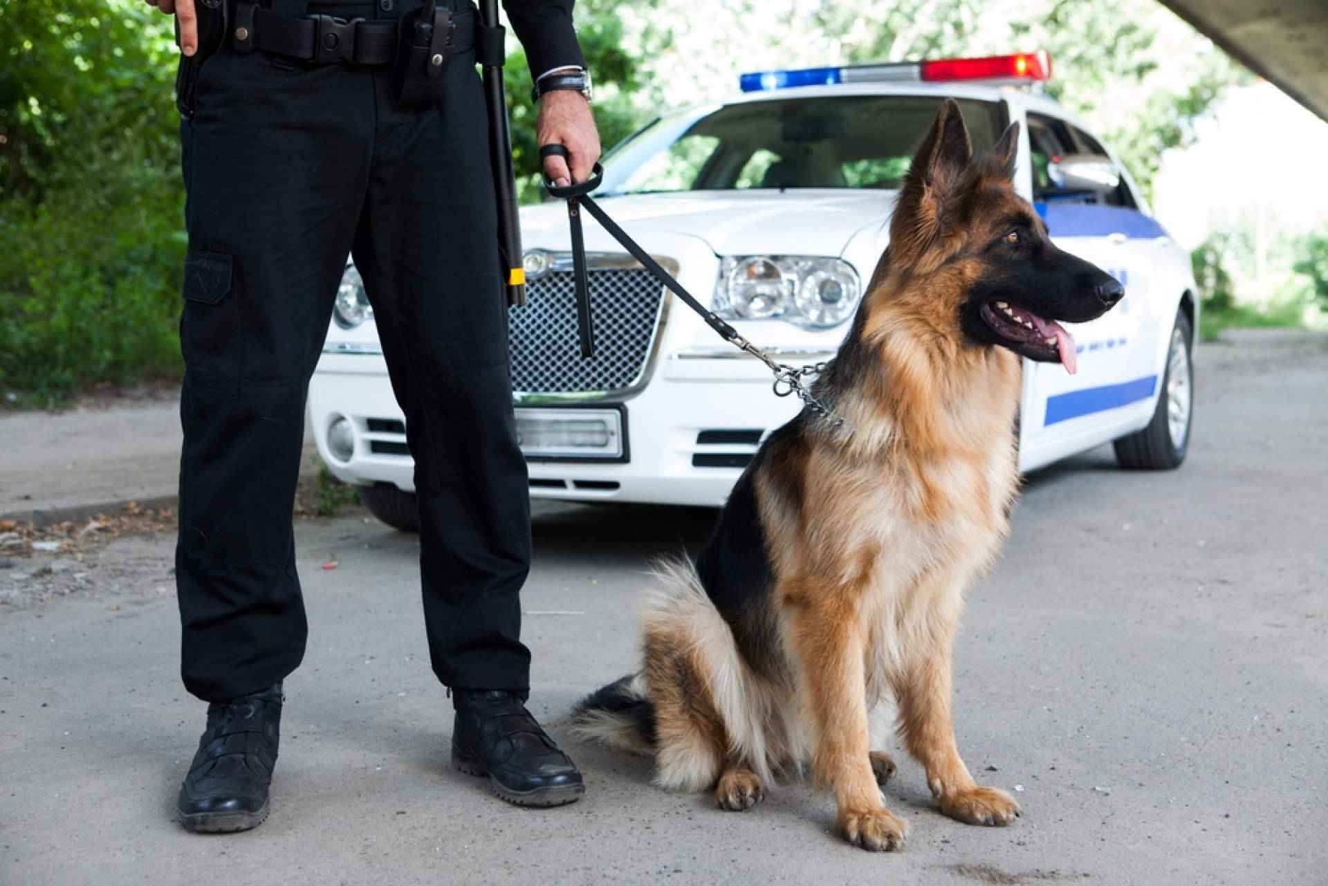 Cómo acreditar el A2 de inglés para las oposiciones a la Policía Nacional