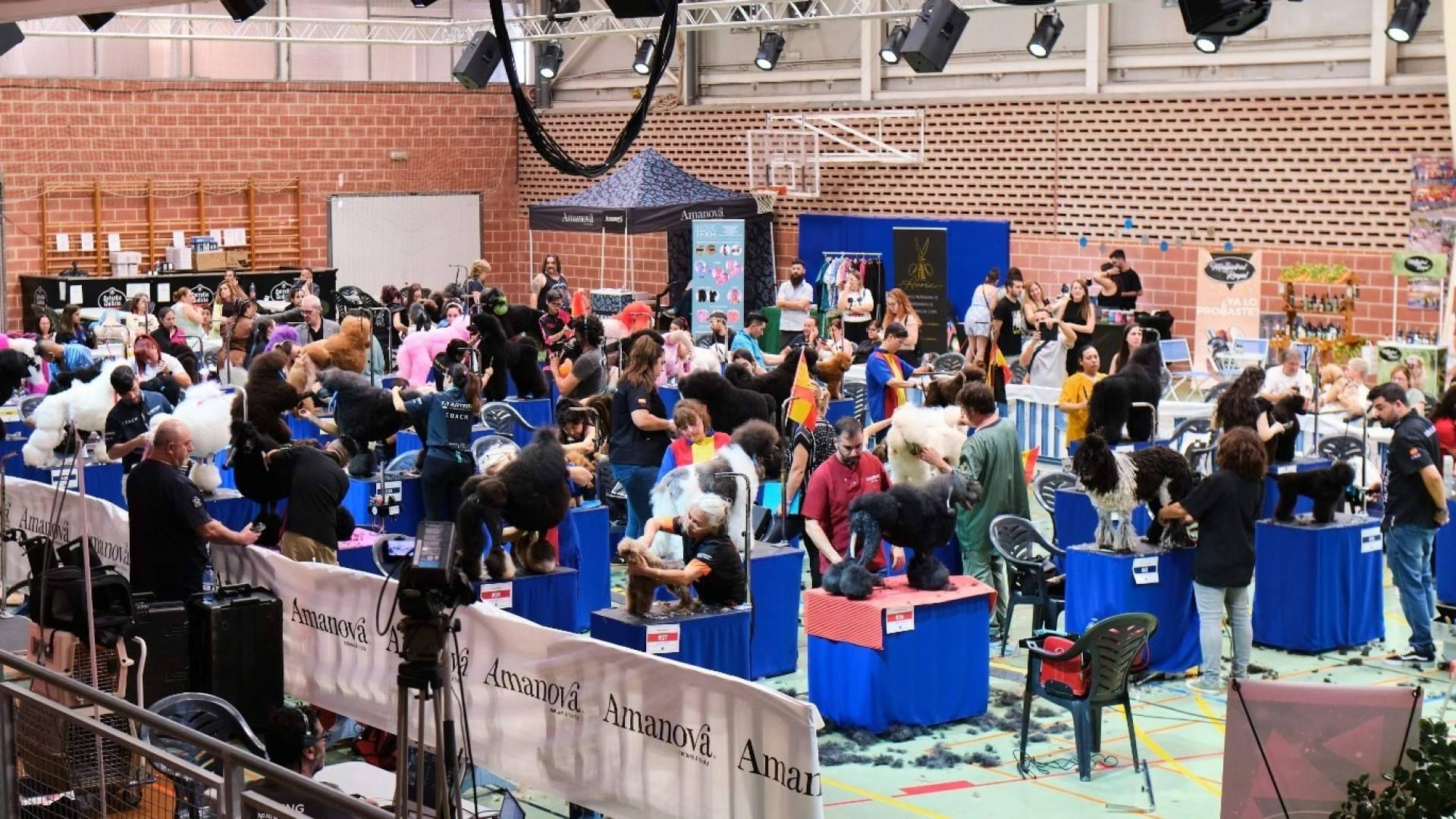Murcia acoge el Campeonato Mundial de Peluquería Canina; profesionales de más de 30 países se disputarán