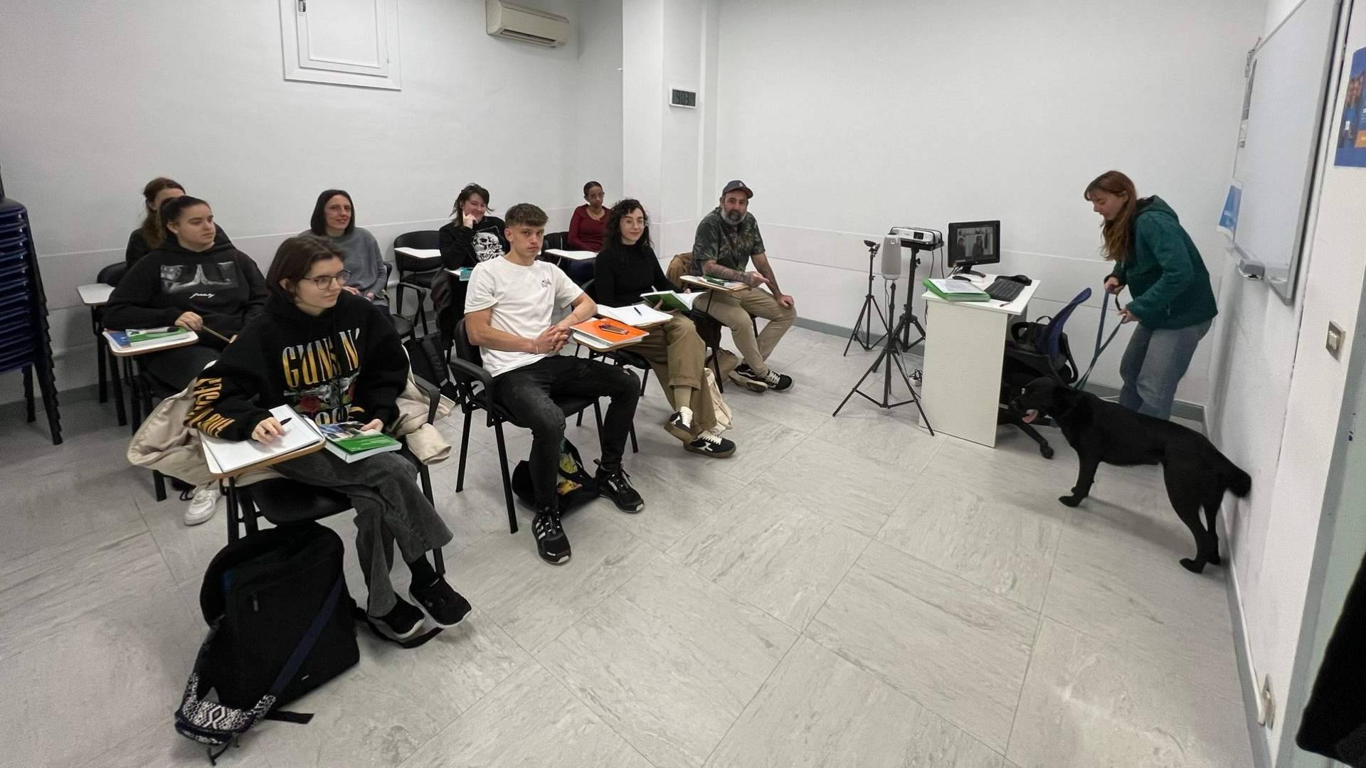 ISED anuncia la apertura de matrícula para sus cursos en áreas clave del mercado laboral