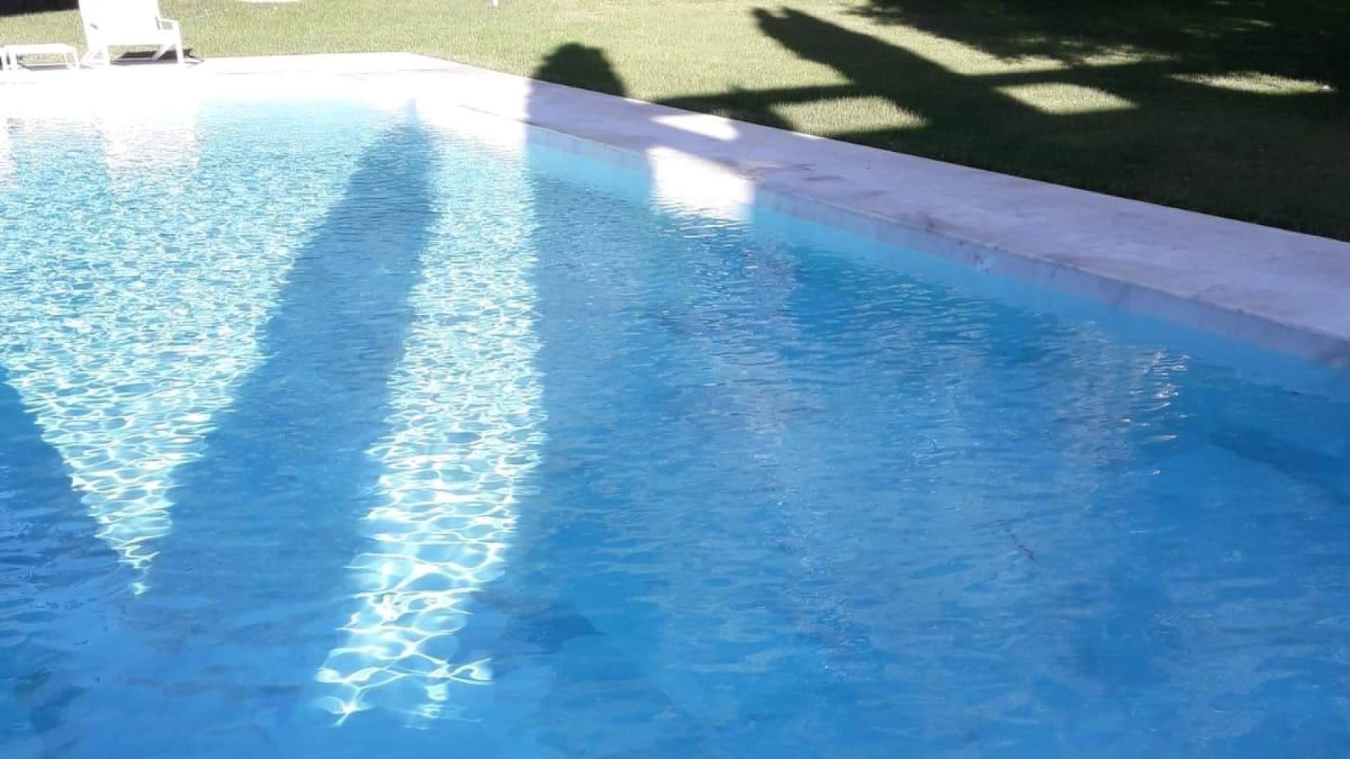 Pool Tiger Europe ofrece una solución sostenible para mantener el agua de piscinas cristalina y saludable