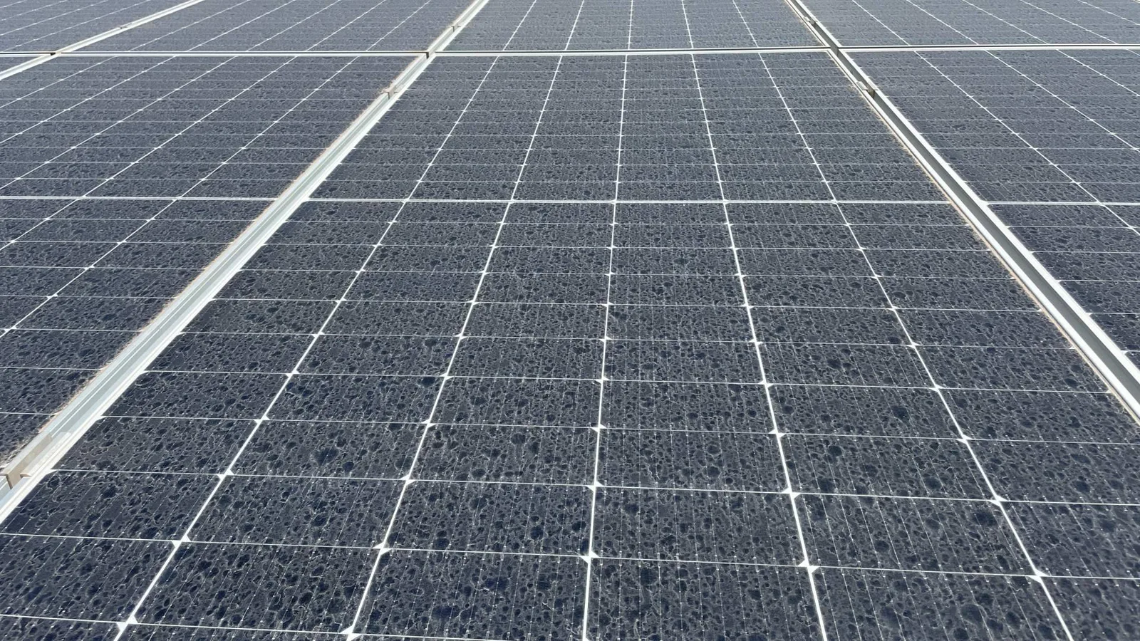 El mantenimiento técnico y la limpieza de módulos solares clave para evitar pérdidas de eficiencia energética