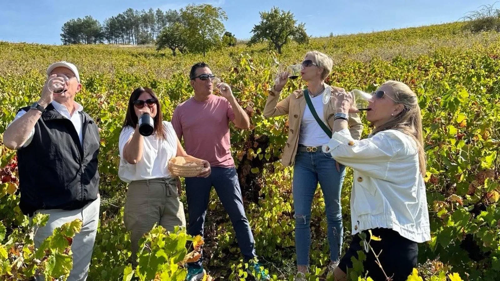 Tour de vinos frente a una ruta por cuenta propia; las diferencias que cambian la experiencia